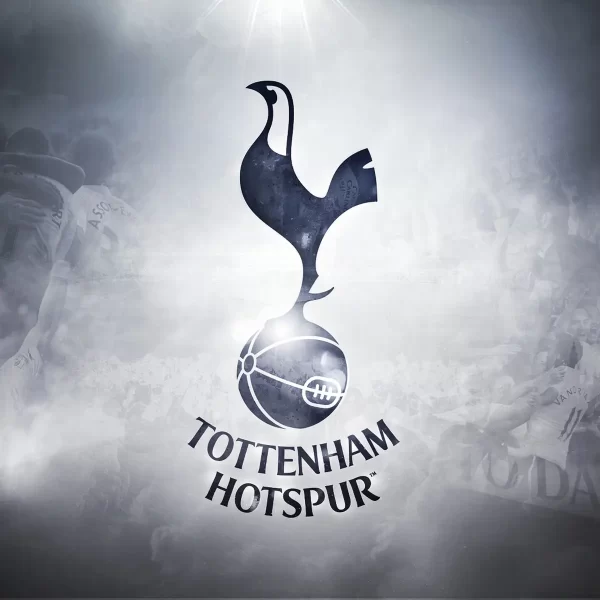 Tottenham Hotspur | Social Advertising & PPC SINE Digital